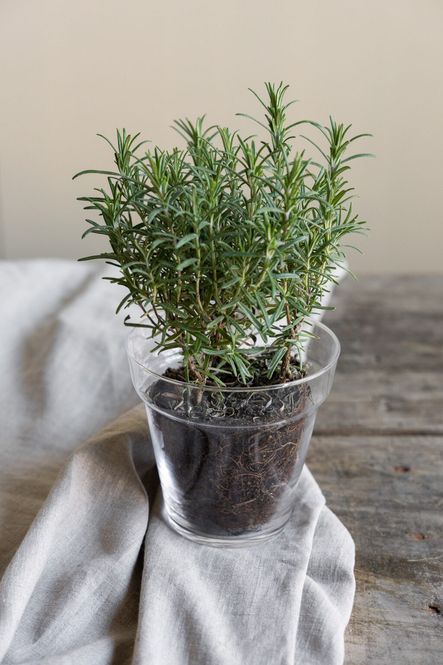 Hovedbilde Stensholm glasskrukke