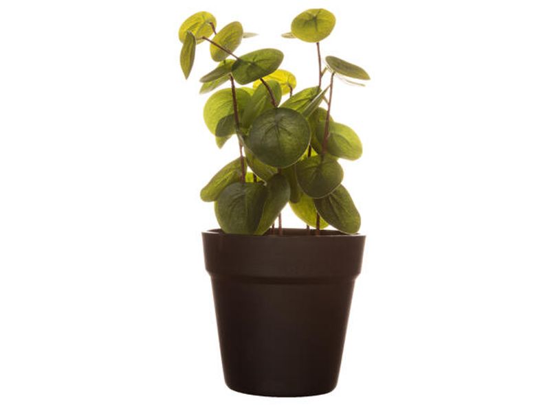 Elefantøre 33cm