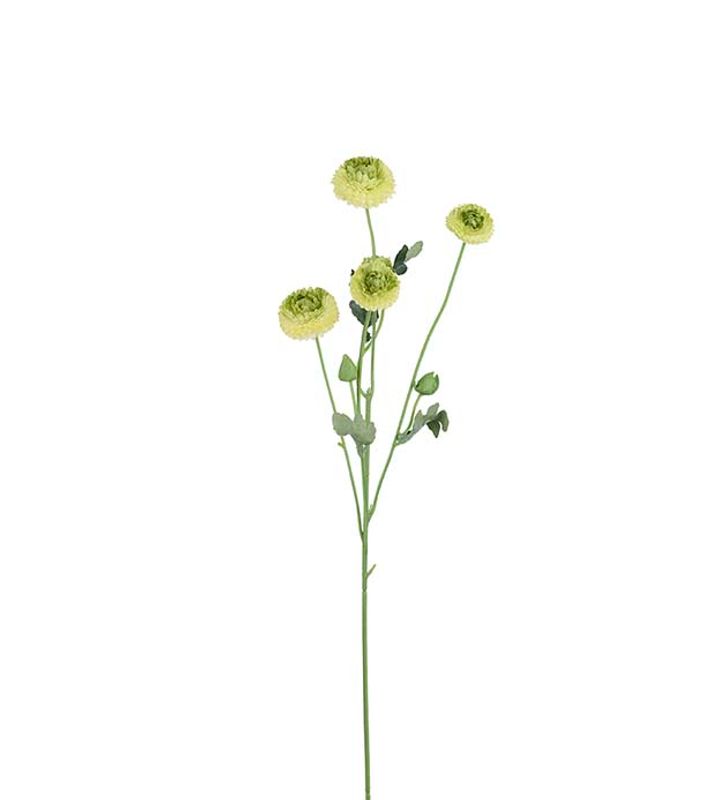 Chrystantium Grønn 60cm