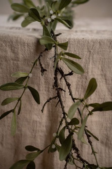 Hovedbilde Mistel Girlander